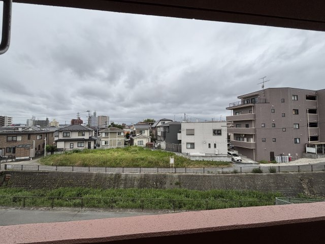 ドリーム１５の展望