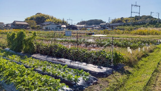 【外観】 | 大津市小野188,191　売土地 | 2025年11月撮影、外観