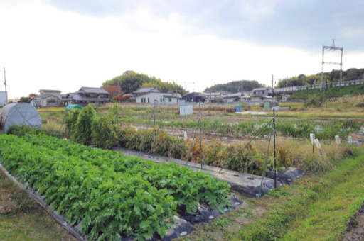 【外観】 | 大津市小野188,191　売土地 | 2025年11月撮影、外観