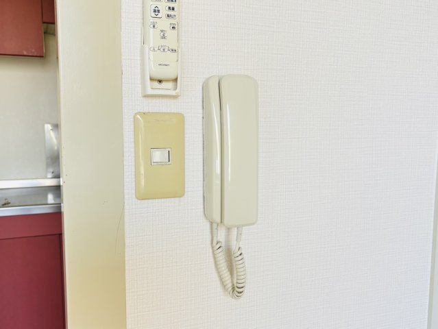 ぶどうの樹のセキュリティ|別号数タイプ