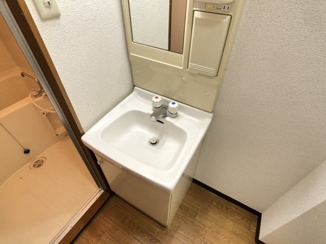 メゾンドグランブルーの洗面所