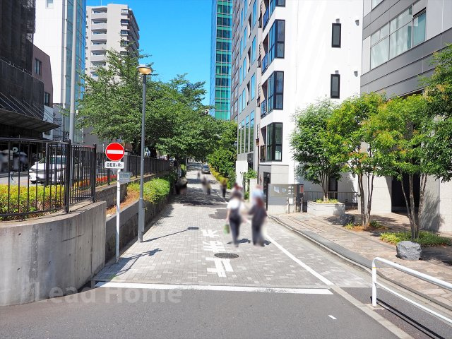 【その他】 | マジェスタワー六本木 | 前面道路