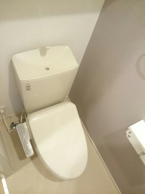 中村家　土佐　Ⅱのトイレ|トイレ