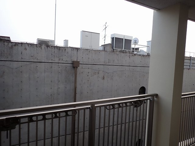 LUMIEC un HONGOの展望