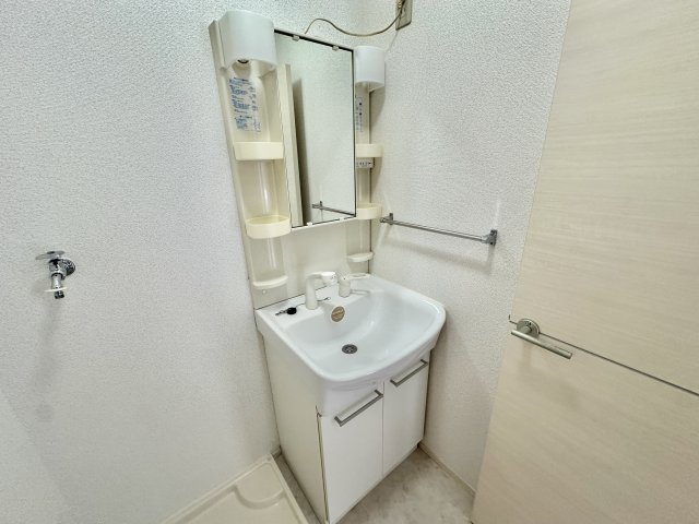 泰山木苑A棟の洗面所
