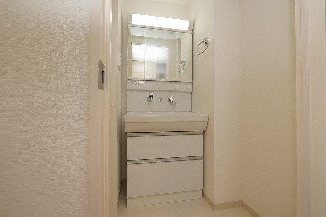 大阪市阿倍野区美章園２丁目の賃貸マンションの独立洗面台