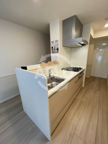 グランジュテⅡ　矢田西小学校区のキッチン|グランジュテII　キッチン