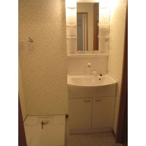 ケインズ赤羽の独立洗面台