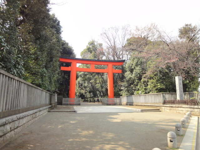 Ｌｉｎｄｅｎｂａｕｍ　Ｓｕｇｉｎａｍｉのその他|井草八幡宮