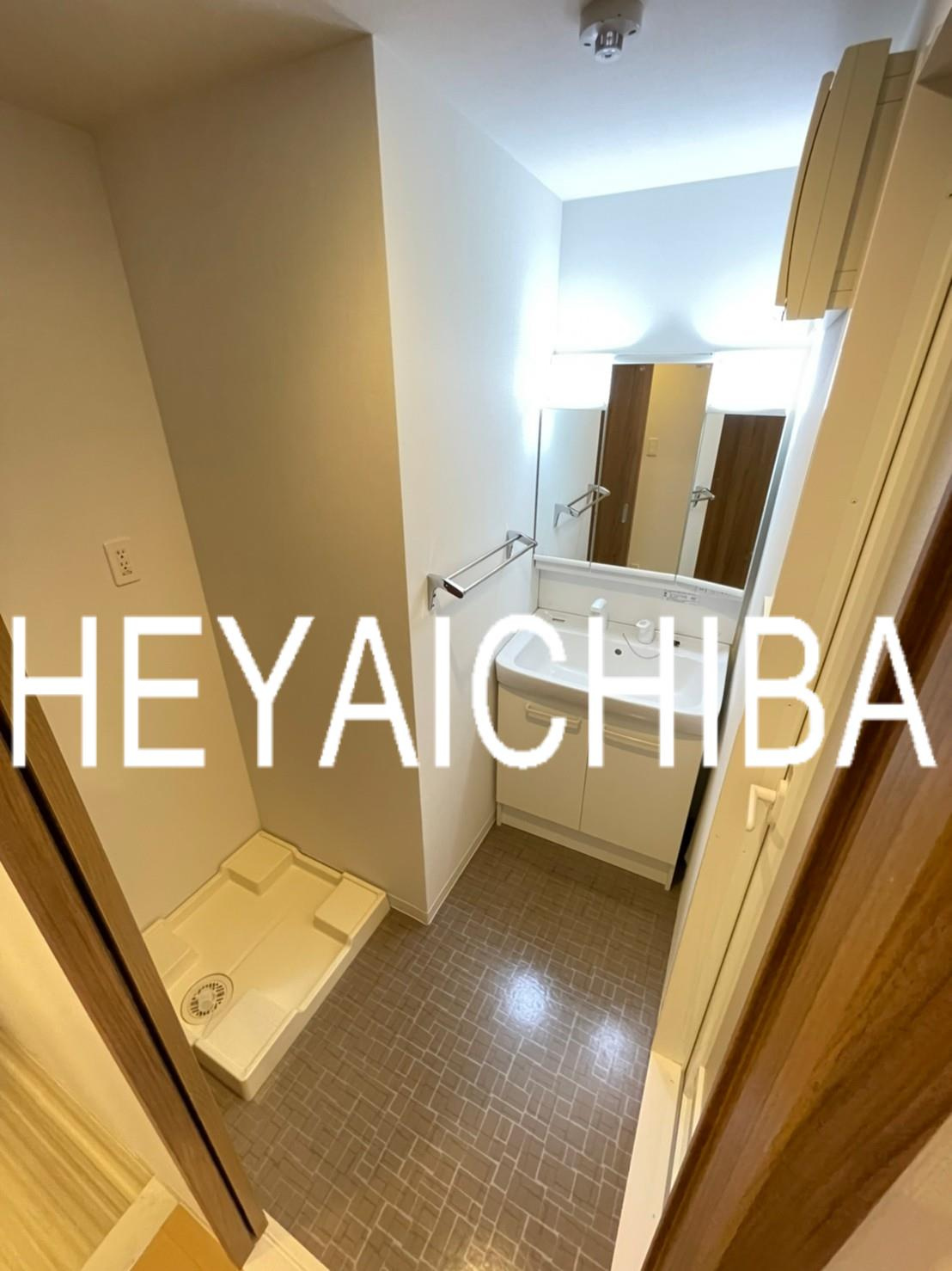 チェスナット西大島の洗面所