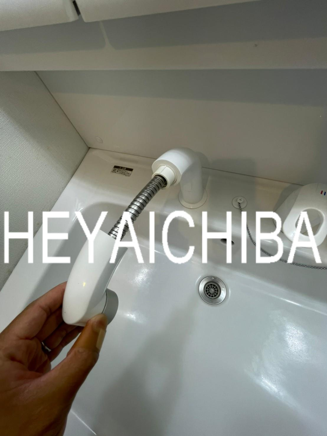 チェスナット西大島の洗面所|シャワー付洗面台
