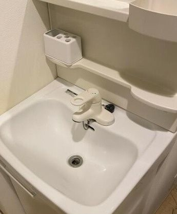 Ｌｅ－ｌｉｏｎ大塚の独立洗面台