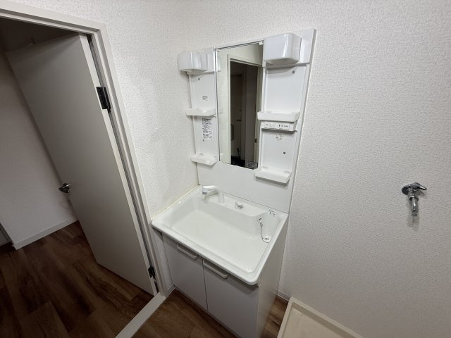 岸和田市神須屋町の賃貸マンションの洗面所