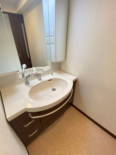 リエゾン楠丘の洗面所