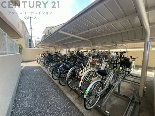 現地のご紹介です