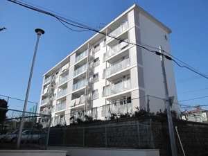 東芝杉田コーポ　A棟の画像