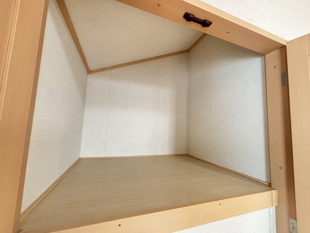 ２階洋室約5.5帖の収納。コンパクトですが奥行がございます。
