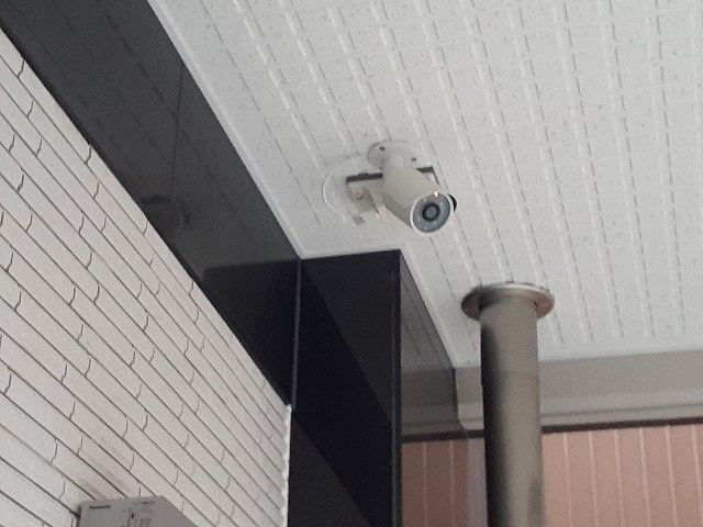 ラタンのその他