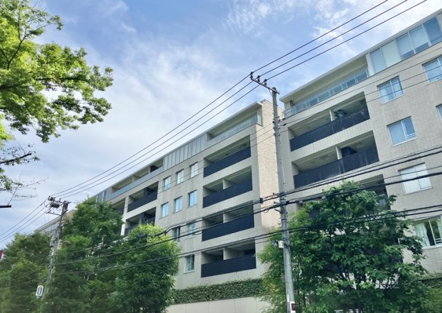 センチュリーフォレスト