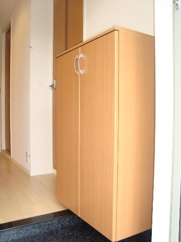 Ａｂｂｅｙ　Ｒｏａｄ　Ⅱのその他|シューズボックス