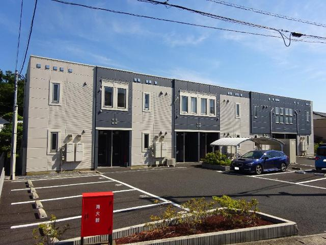 ワンダーランド