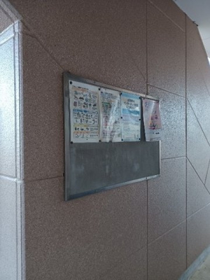 【その他】 | アシュレ・さくら