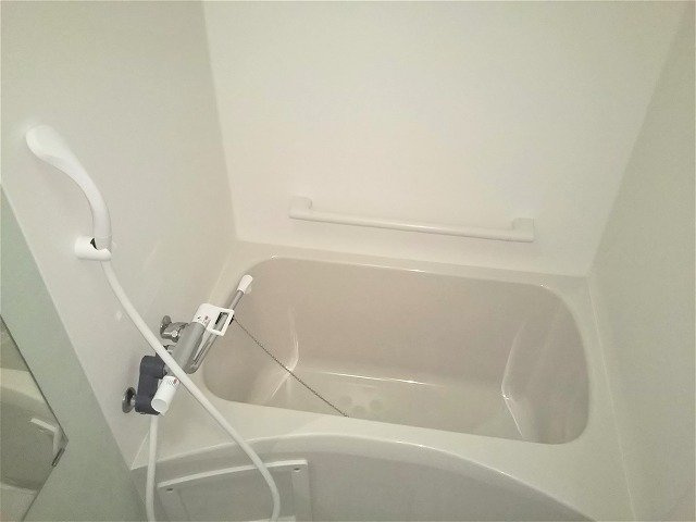 レオネクストネオエスト花園の浴室