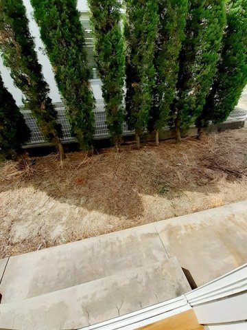 グリーンアビタシオンのバルコニー