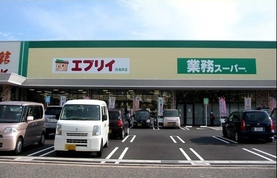 メゾン・ド・ソレイユの周辺|エブリィまで1000m