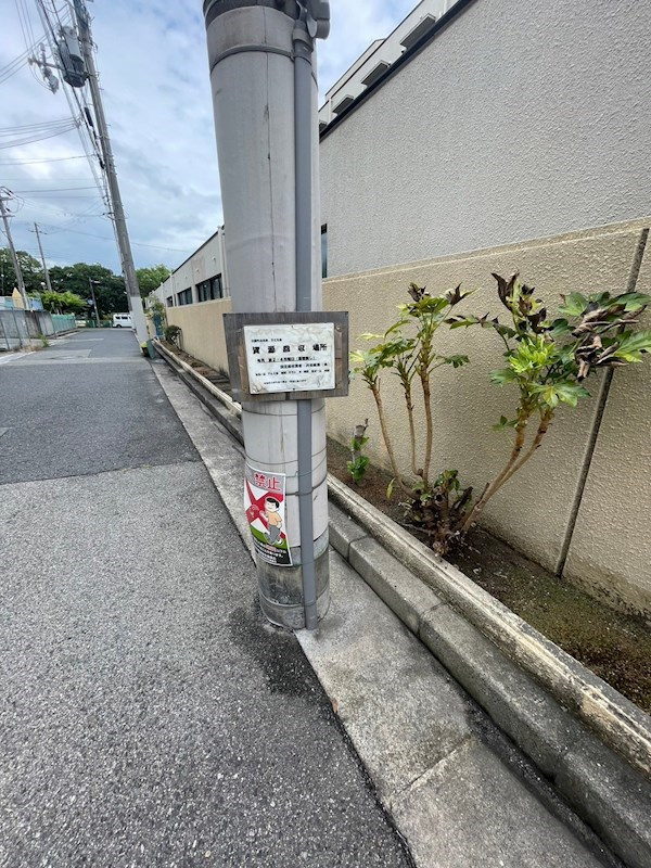 エルマーナ香枦園のその他