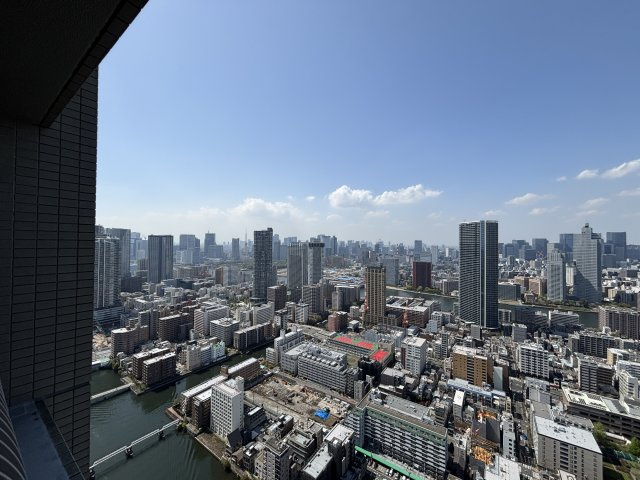 優雅な眺望