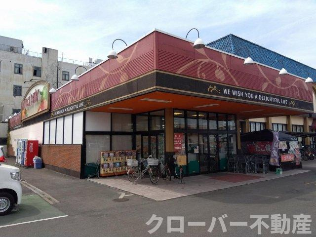 レオネクストキララⅡの周辺