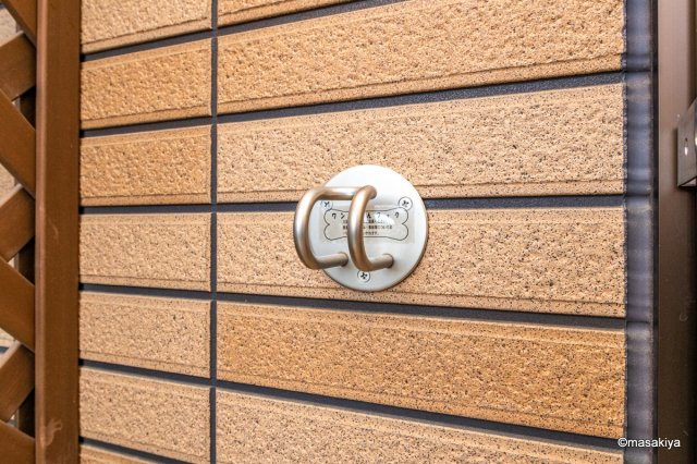 アルバのエントランス