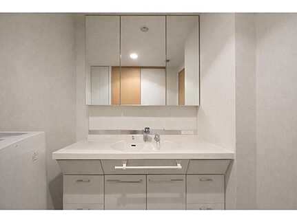 真亀2丁目パークヒルズ高揚アネックス3階の独立洗面台