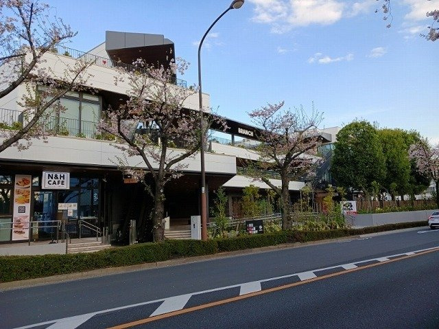 プラシード神代Ⅱの周辺|ブランチ　調布店まで1300m