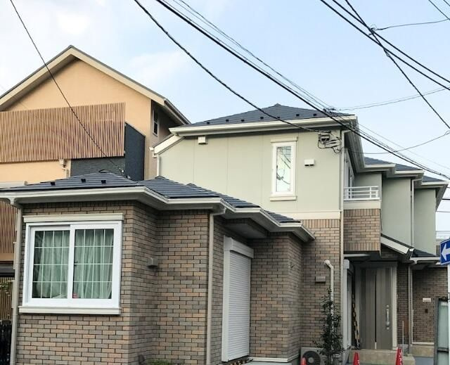 ニレの木の外観