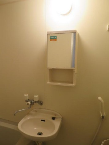 エヌ・ハイツの洗面所