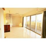 熊本市中央区菅原町の賃貸マンションの内装