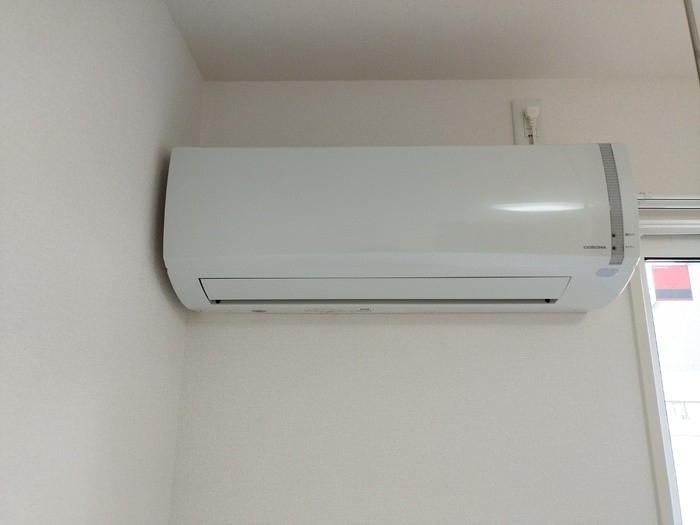 キキョウK.T／ツバキK.T　キキョウK.T