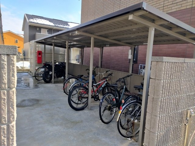 キキョウK.T／ツバキK.T　キキョウK.T