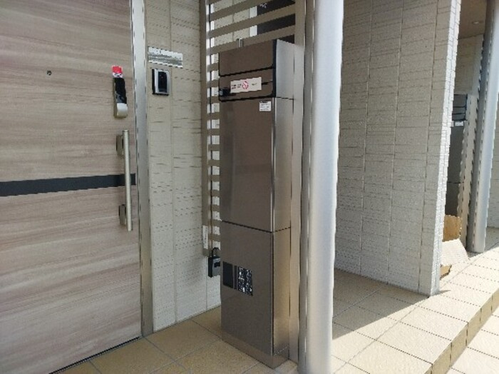 キキョウK.T／ツバキK.T　キキョウK.T