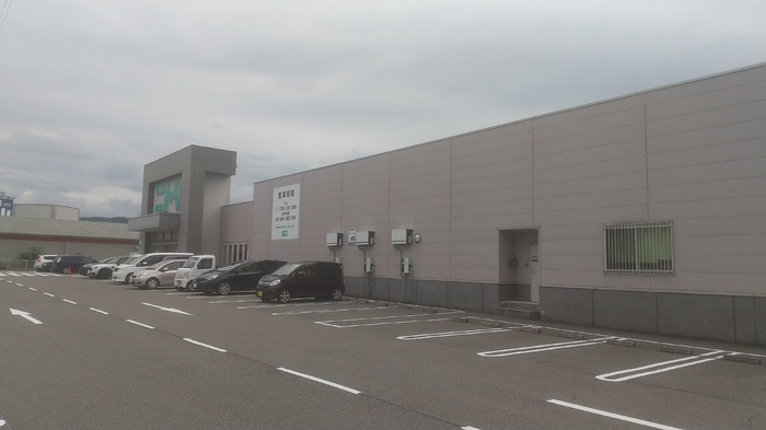 キキョウK.T／ツバキK.T　キキョウK.T