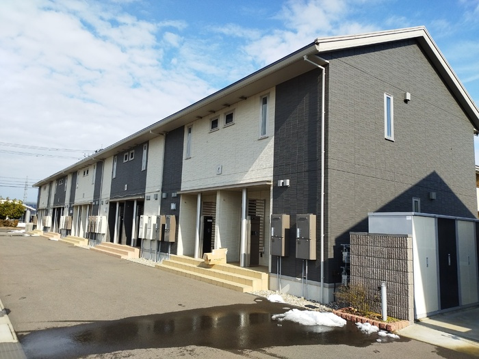 キキョウK.T／ツバキK.T　キキョウK.T