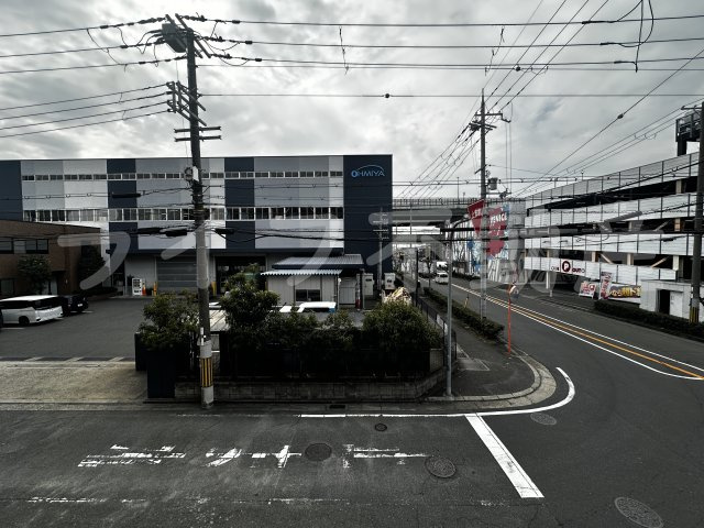 シロハイヌ吉田の展望