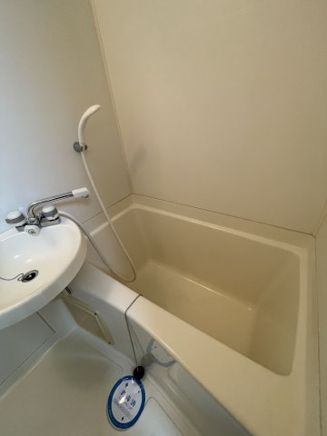 レナジア大和田の浴室