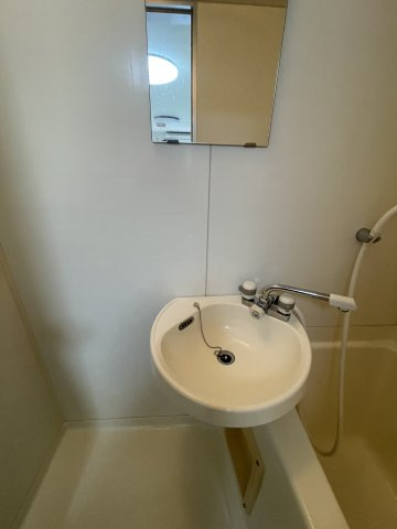 レナジア大和田の洗面所