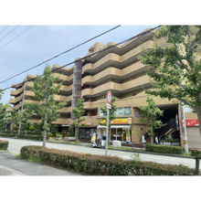 マブランシェット弦月の画像