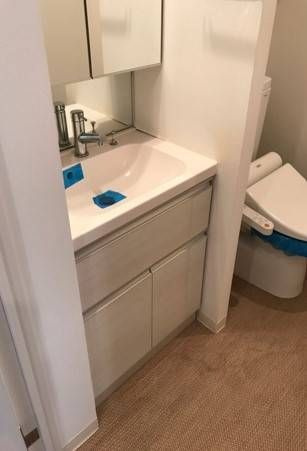 プレスタイル両国の洗面所