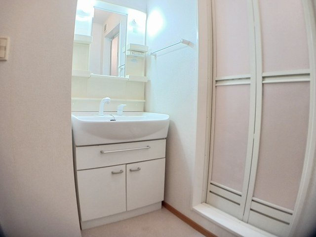 メゾン・グレイスＡの洗面所