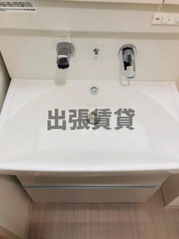 仲介手数料0！！Wコート城西の洗面所